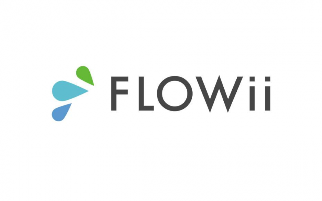 We Announce the Cooperation of Corpis Maps with FLOWii CRM